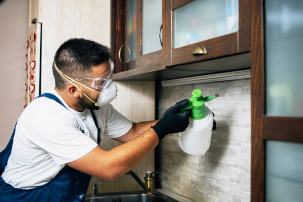 Best Emergency Pest Control  in New London, TX