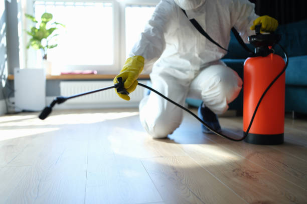 Pest Control for Restaurants in New London, TX